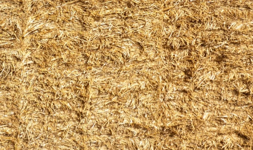 Cereal straw in sheared bales