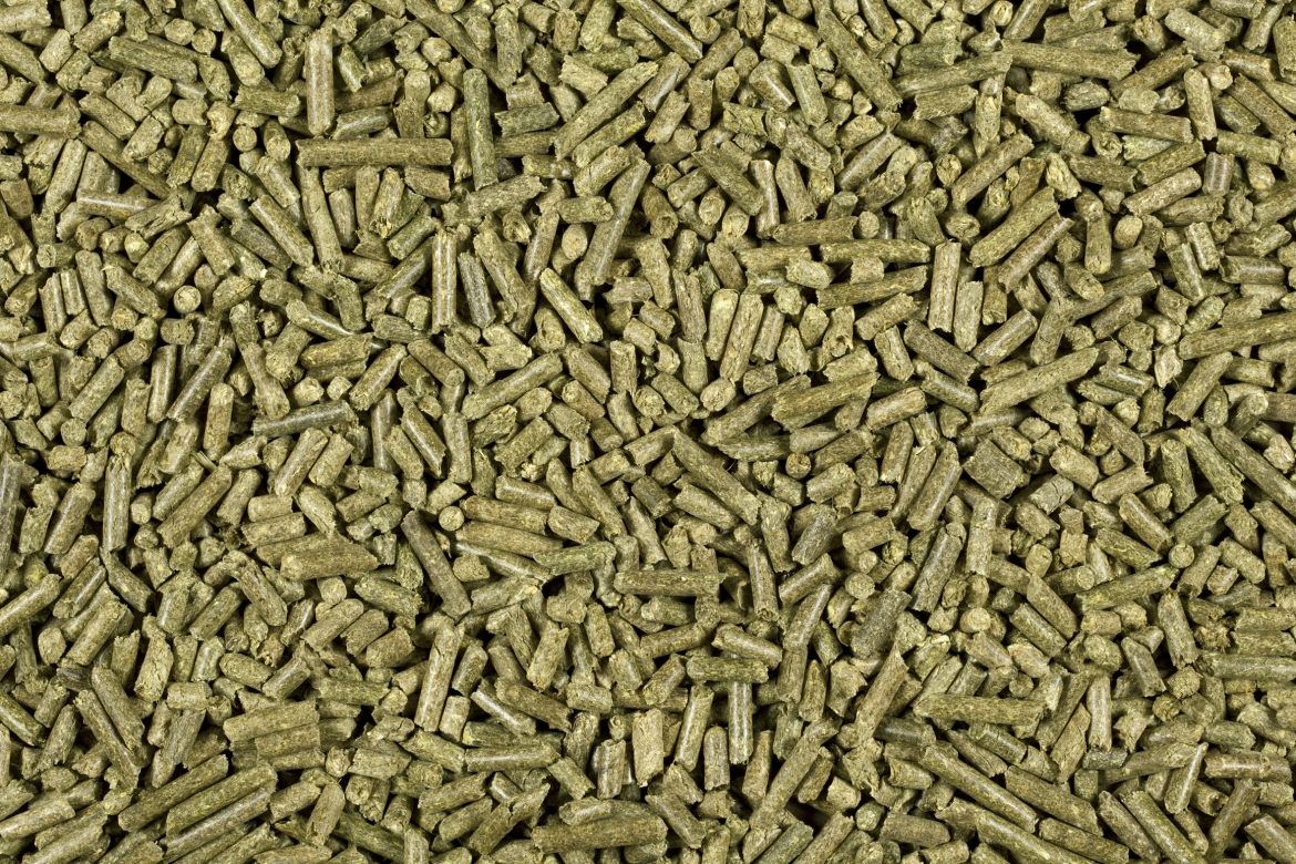 Dried alfalfa forage pellets